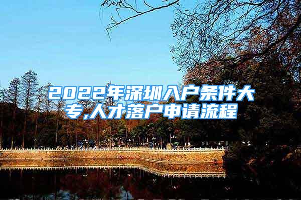 2022年深圳入戶條件大專,人才落戶申請流程