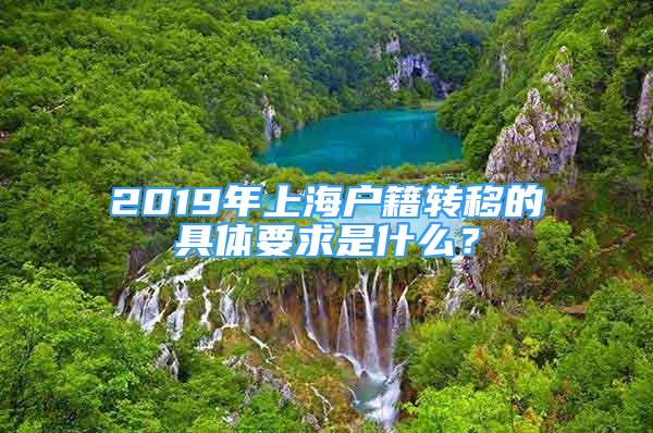 2019年上海戶籍轉(zhuǎn)移的具體要求是什么？