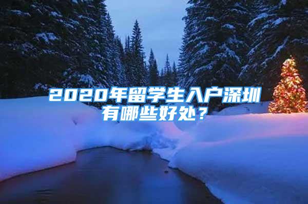 2020年留學(xué)生入戶深圳有哪些好處？