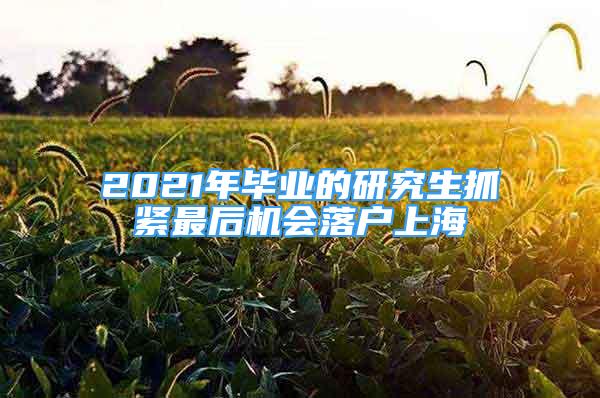 2021年畢業(yè)的研究生抓緊最后機會落戶上海