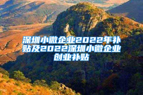 深圳小微企業(yè)2022年補(bǔ)貼及2022深圳小微企業(yè)創(chuàng)業(yè)補(bǔ)貼