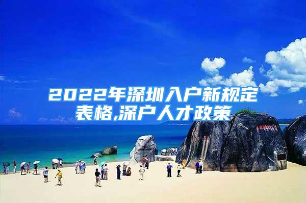 2022年深圳入戶新規(guī)定表格,深戶人才政策