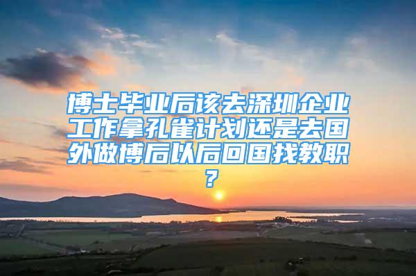 博士畢業(yè)后該去深圳企業(yè)工作拿孔雀計(jì)劃還是去國外做博后以后回國找教職？