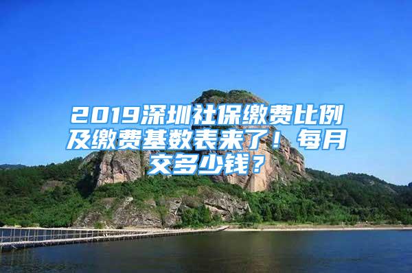 2019深圳社保繳費比例及繳費基數表來了！每月交多少錢？