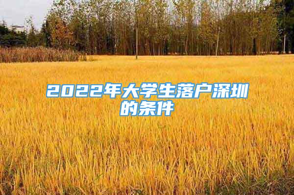 2022年大學(xué)生落戶深圳的條件