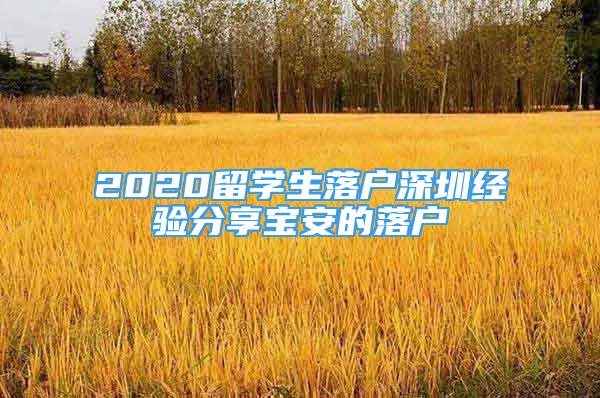 2020留學生落戶深圳經(jīng)驗分享寶安的落戶