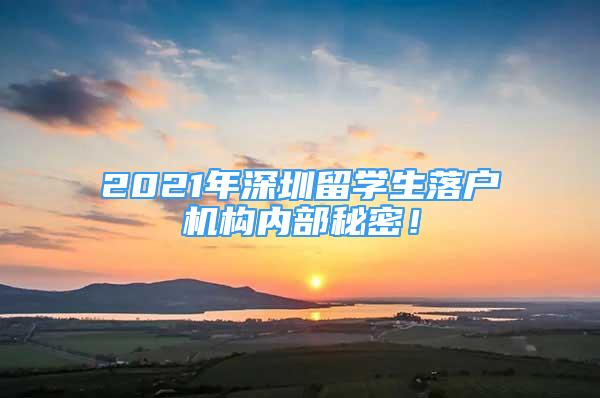 2021年深圳留學生落戶機構(gòu)內(nèi)部秘密！