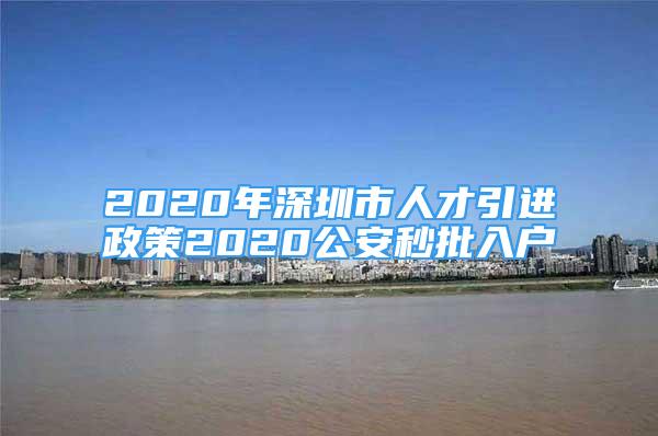 2020年深圳市人才引進(jìn)政策2020公安秒批入戶(hù)