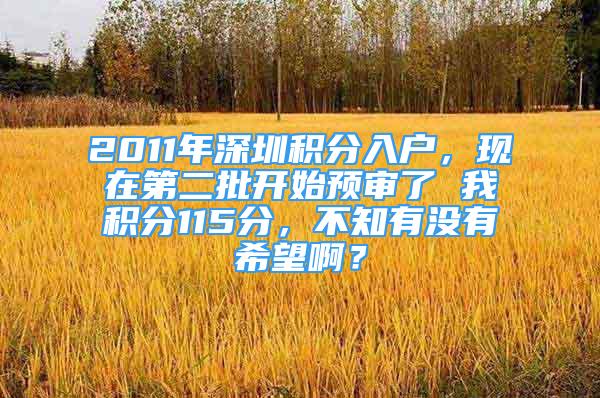 2011年深圳積分入戶，現(xiàn)在第二批開始預(yù)審了 我積分115分，不知有沒有希望??？