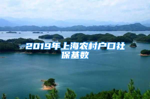 2019年上海農(nóng)村戶口社?；鶖?shù)