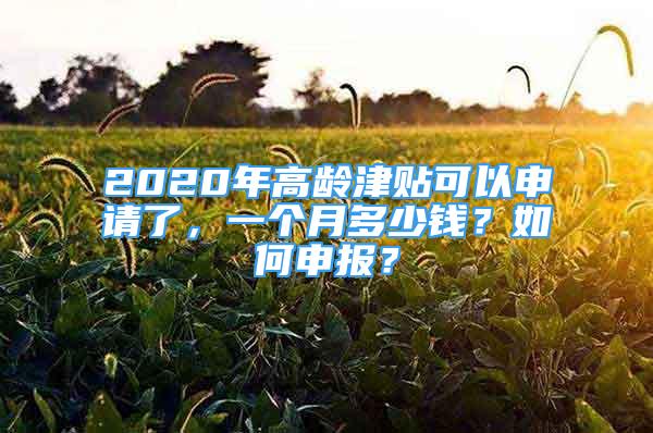 2020年高齡津貼可以申請了，一個(gè)月多少錢？如何申報(bào)？