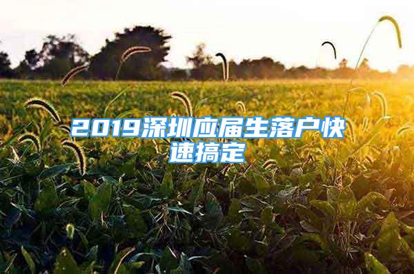 2019深圳應(yīng)屆生落戶快速搞定