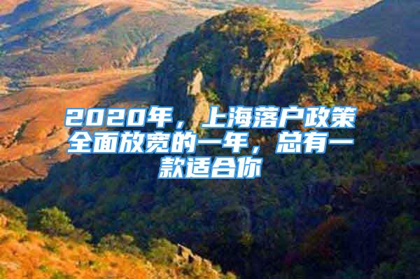 2020年，上海落戶政策全面放寬的一年，總有一款適合你