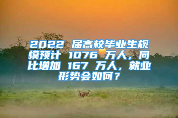 2022 屆高校畢業(yè)生規(guī)模預(yù)計(jì) 1076 萬(wàn)人，同比增加 167 萬(wàn)人，就業(yè)形勢(shì)會(huì)如何？