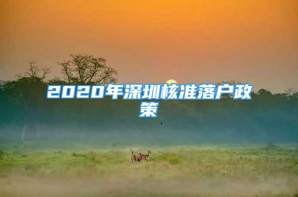 2020年深圳核準落戶政策