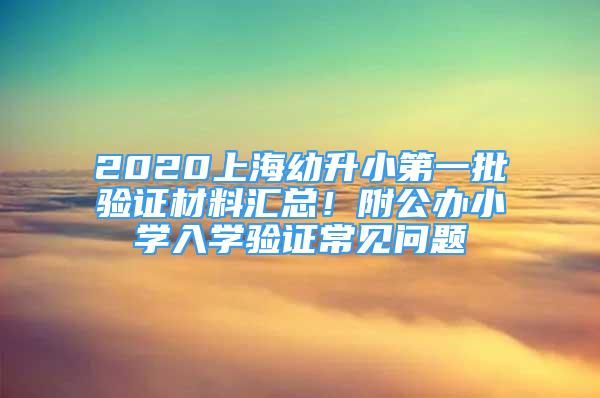 2020上海幼升小第一批驗證材料匯總！附公辦小學(xué)入學(xué)驗證常見問題