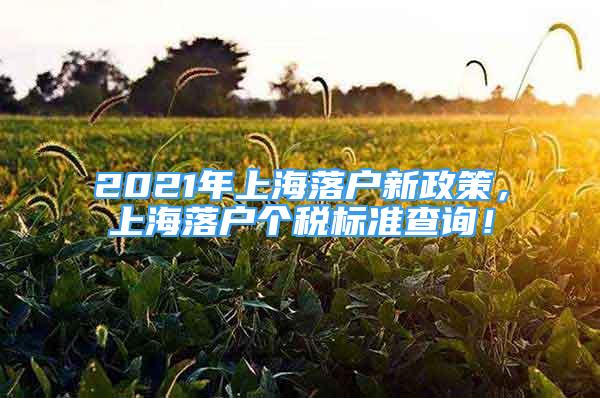 2021年上海落戶新政策，上海落戶個(gè)稅標(biāo)準(zhǔn)查詢！