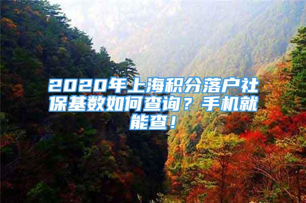 2020年上海積分落戶社?；鶖?shù)如何查詢？手機就能查！