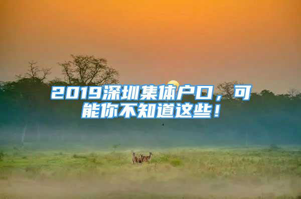 2019深圳集體戶口，可能你不知道這些！