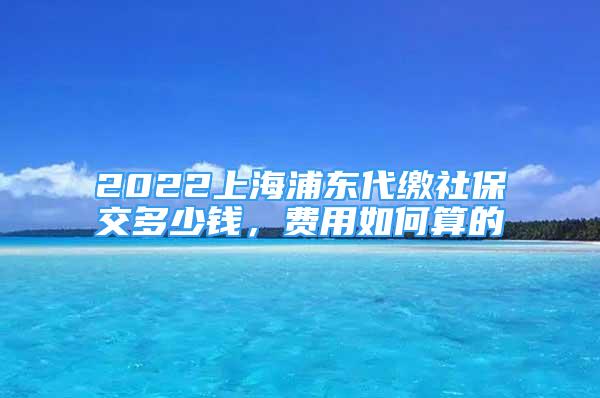 2022上海浦東代繳社保交多少錢，費用如何算的