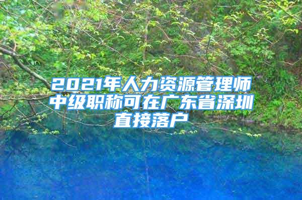 2021年人力資源管理師中級(jí)職稱可在廣東省深圳直接落戶