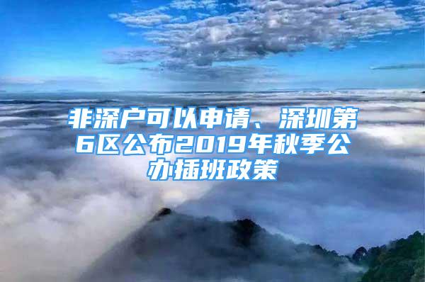 非深戶可以申請、深圳第6區(qū)公布2019年秋季公辦插班政策