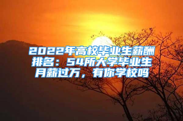 2022年高校畢業(yè)生薪酬排名：54所大學畢業(yè)生月薪過萬，有你學校嗎