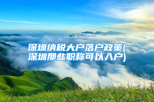 深圳納稅大戶落戶政策(深圳那些職稱可以入戶)