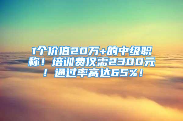 1個(gè)價(jià)值20萬+的中級職稱！培訓(xùn)費(fèi)僅需2300元！通過率高達(dá)65%！