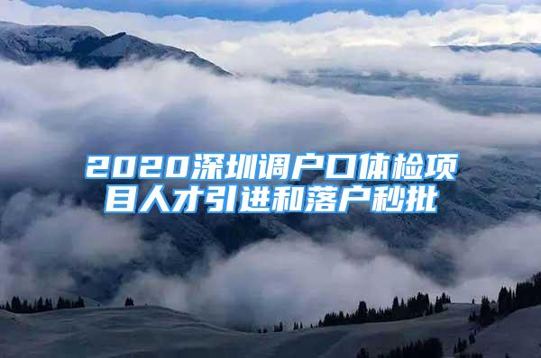 2020深圳調(diào)戶口體檢項目人才引進和落戶秒批