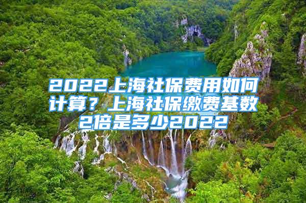 2022上海社保費(fèi)用如何計(jì)算？上海社保繳費(fèi)基數(shù)2倍是多少2022