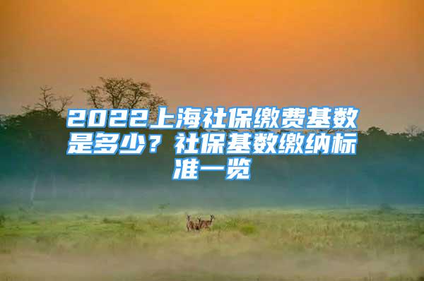 2022上海社保繳費基數(shù)是多少？社?；鶖?shù)繳納標準一覽