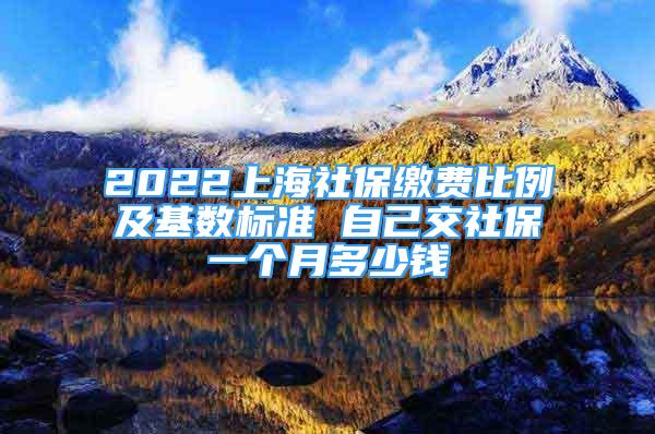 2022上海社保繳費(fèi)比例及基數(shù)標(biāo)準(zhǔn) 自己交社保一個(gè)月多少錢