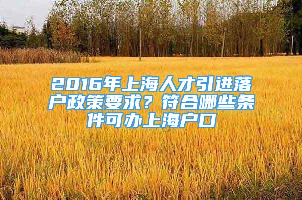 2016年上海人才引進落戶政策要求？符合哪些條件可辦上海戶口