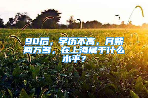 90后，學(xué)歷不高，月薪兩萬(wàn)多，在上海屬于什么水平？