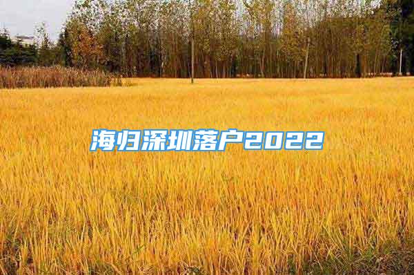 海歸深圳落戶2022