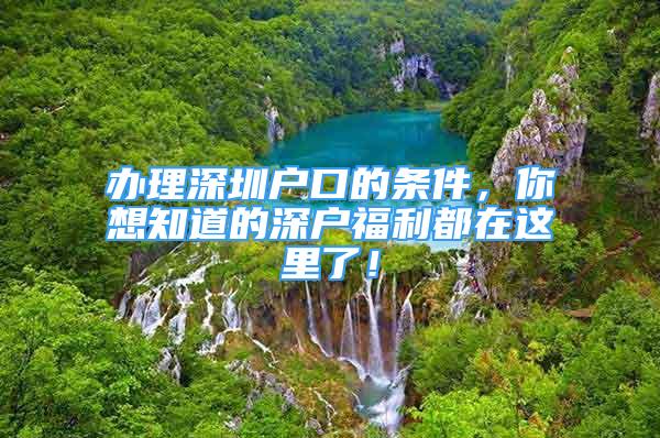 辦理深圳戶口的條件，你想知道的深戶福利都在這里了！