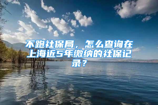 不跑社保局，怎么查詢?cè)谏虾＝?年繳納的社保記錄？