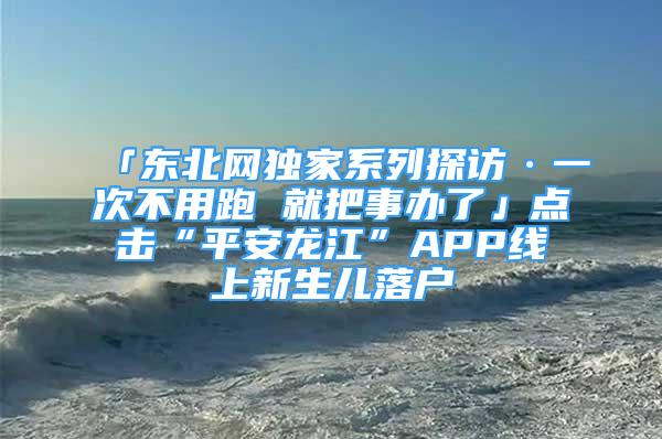 「東北網(wǎng)獨家系列探訪·一次不用跑 就把事辦了」點擊“平安龍江”APP線上新生兒落戶