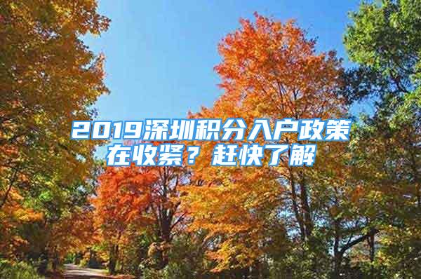 2019深圳積分入戶政策在收緊？趕快了解