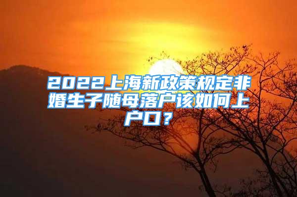 2022上海新政策規(guī)定非婚生子隨母落戶該如何上戶口？