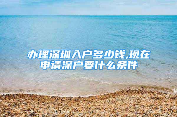 辦理深圳入戶多少錢,現在申請深戶要什么條件