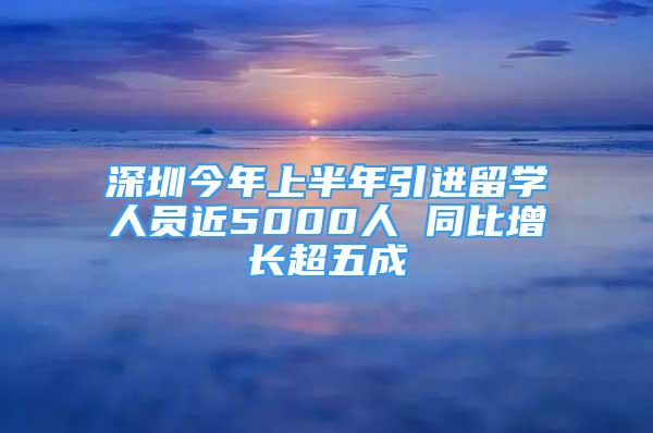 深圳今年上半年引進(jìn)留學(xué)人員近5000人 同比增長超五成