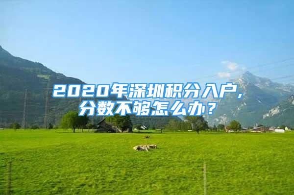 2020年深圳積分入戶,分?jǐn)?shù)不夠怎么辦？