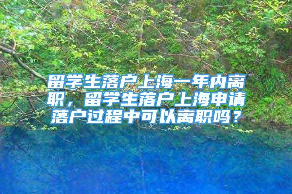 留學(xué)生落戶上海一年內(nèi)離職，留學(xué)生落戶上海申請(qǐng)落戶過(guò)程中可以離職嗎？