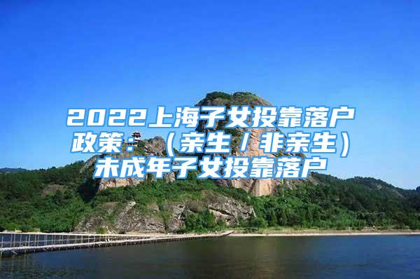 2022上海子女投靠落戶政策：（親生／非親生）未成年子女投靠落戶