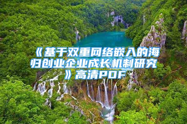 《基于雙重網(wǎng)絡(luò)嵌入的海歸創(chuàng)業(yè)企業(yè)成長機制研究》高清PDF