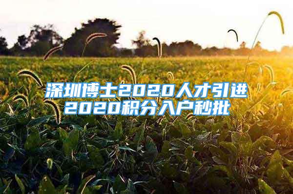 深圳博士2020人才引進(jìn)2020積分入戶秒批