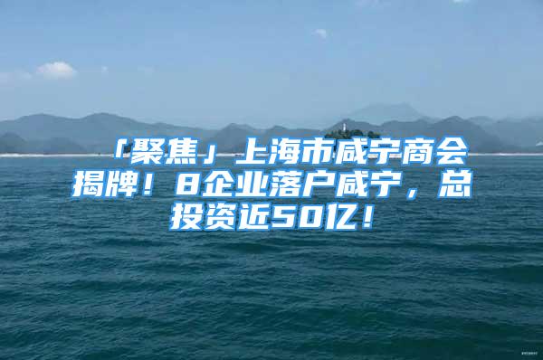 「聚焦」上海市咸寧商會揭牌！8企業(yè)落戶咸寧，總投資近50億！