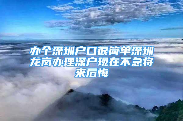 辦個(gè)深圳戶口很簡單深圳龍崗辦理深戶現(xiàn)在不急將來后悔